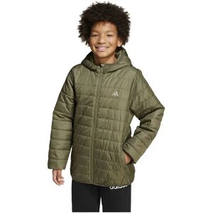 adidas Essentials Light Padded Jacket Olive Strata / Reflective Silver 13-14 Years Boys,Girls adidas Essentials Light Padded Jacket Olive Strata / Reflective Silver 13-14 Years Boys,Girls