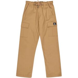 Quiksilver Taxer Cargo Pants Elmwood 14 Years Boys Quiksilver Taxer Cargo Pants Elmwood 14 Years Boys
