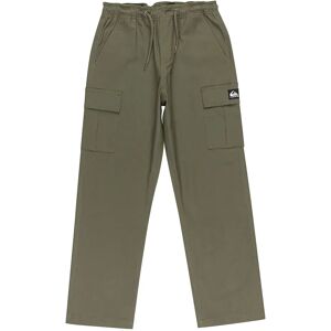 Quiksilver Taxer Cargo Pants Grape Leaf 8 Years Boys Quiksilver Taxer Cargo Pants Grape Leaf 8 Years Boys