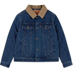 Levi´s ® Kids Quilted Lined Trucker Jacket Multicolor 16 Years Boys Levi´s ® Kids Quilted Lined Trucker Jacket Multicolor 16 Years Boys