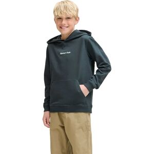 Jack & Jones Norrebro Emb Hoodie Forest River 14 Years Boys Jack & Jones Norrebro Emb Hoodie Forest River 14 Years Boys