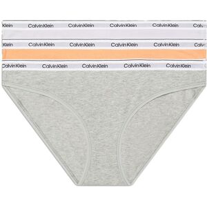 Calvin Klein Underwear 000qd5207e Panties 3 Units Cadmium Orng / Grey Htr / Lavender Blue XS Women