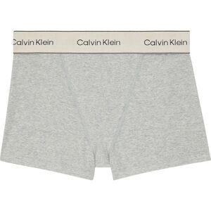 Calvin Klein Underwear Lv00qf8371 Brief Panties Heather Grey XS Women Calvin Klein Underwear Lv00qf8371 Brief Panties Heather Grey XS Women