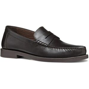Geox Recanati Loafers Coffee UK 7.5 Men Geox Recanati Loafers Coffee UK 7.5 Men