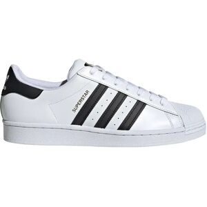 adidas Originals Superstar Trainers Ftwr White / Core Black / Ftwr White UK 11 Men adidas Originals Superstar Trainers Ftwr White / Core Black / Ftwr White UK 11 Men