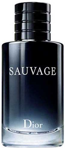 Christian Dior Sauvage 100ml Eau De Toilette One Size male