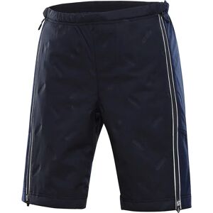 Alpine Pro Ginar Shorts Blue L Men Alpine Pro Ginar Shorts Blue L Men