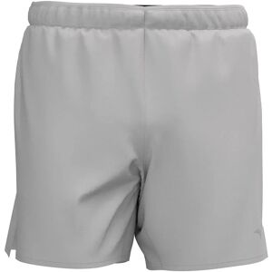 Mizuno Core 5.5 Inch Shorts Vapor Silver XL Men Mizuno Core 5.5 Inch Shorts Vapor Silver XL Men