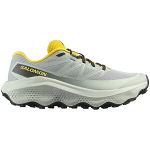 Salomon Ultra Flow 2 Trail Running Shoes Wrought Iron / Metal / Incaberry UK 13.5 Men