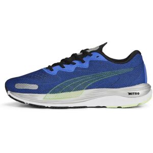 Puma Velocity Nitro 2 Running Shoes Royal Sapphire / Fizz UK 7.5 Men Puma Velocity Nitro 2 Running Shoes Royal Sapphire / Fizz UK 7.5 Men