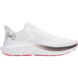 Under Armour Charged Rogue 5 Running Shoes White UK 11 Men Under Armour Charged Rogue 5 Running Shoes White UK 11 Men