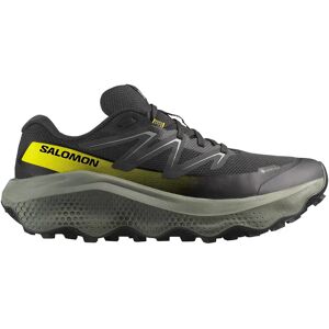 Salomon Ultra Flow 2 Goretex Trail Running Shoes Black / Sedona Sage / Incaberry UK 11.5 Men Salomon Ultra Flow 2 Goretex Trail Running Shoes Black / Sedona Sage / Incaberry UK 11.5 Men