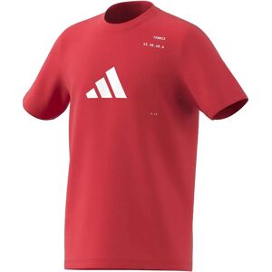 Adidas Tennis Category Graphic Short Sleeve T-shirt Selure 9-10 Years Adidas Tennis Category Graphic Short Sleeve T-shirt Selure 9-10 Years