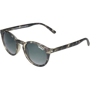 Sinner Patnem Sunglasses Matte Dual Olive Tortoise PC Gradient Green/CAT3 Women Sinner Patnem Sunglasses Matte Dual Olive Tortoise PC Gradient Green/CAT3 Women