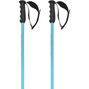 Head Worldcup Sl Poles Speed Blue / Black / White 115 cm Men,Women Head Worldcup Sl Poles Speed Blue / Black / White 115 cm Men,Women