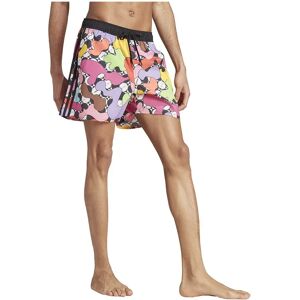 Adidas X Rich Mnisi Clx Swimming Shorts Black / Owhite M Women Adidas X Rich Mnisi Clx Swimming Shorts Black / Owhite M Women
