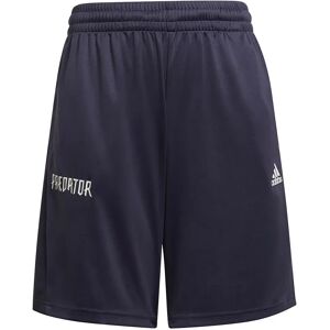Adidas Predator Shorts Shadow Navy / Semi Turbo / White 9-10 Years Boys,Girls Adidas Predator Shorts Shadow Navy / Semi Turbo / White 9-10 Years Boys,Girls
