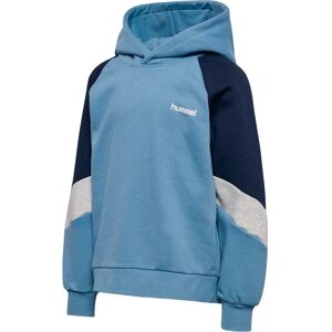 Hummel Loose Blocked Hoodie Faded Denim 146-152 cm Boys,Girls Hummel Loose Blocked Hoodie Faded Denim 146-152 cm Boys,Girls
