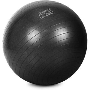 Gymstick Pro Exercise 65cm Fitball Black 65 cm unisex Gymstick Pro Exercise 65cm Fitball Black 65 cm unisex