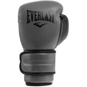 Everlast Fse Powerlock 2r Training Leather Artificial Boxing Gloves Charcoal 10 oz unisex Everlast Fse Powerlock 2r Training Leather Artificial Boxing Gloves Charcoal 10 oz unisex