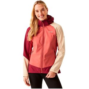 Regatta Dessoto X Softshell Jacket Rumba Red / Mineral Red 12 Women Regatta Dessoto X Softshell Jacket Rumba Red / Mineral Red 12 Women