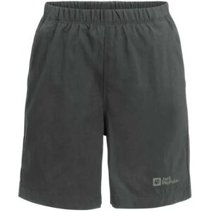 Jack Wolfskin Desert Shorts Slate Green 128 cm Boys,Girls Jack Wolfskin Desert Shorts Slate Green 128 cm Boys,Girls