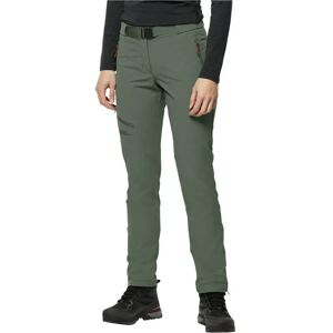 Jack Wolfskin Holdsteig Pants Picnic Green 38 Women Jack Wolfskin Holdsteig Pants Picnic Green 38 Women