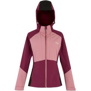 Regatta Dessoto Softshell Jacket Dark Pimento / Dusty Rose / Black 24 Women Regatta Dessoto Softshell Jacket Dark Pimento / Dusty Rose / Black 24 Women