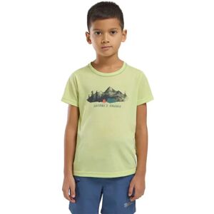 Jack Wolfskin Hiking Graphic Short Sleeve T-shirt Print Cool Matcha 152 cm Boys Jack Wolfskin Hiking Graphic Short Sleeve T-shirt Print Cool Matcha 152 cm Boys