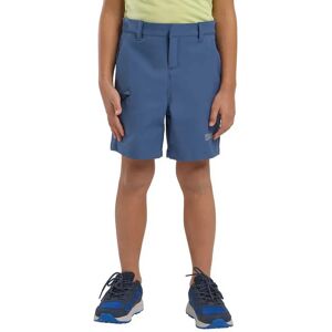 Jack Wolfskin Turbulence Shorts Evening Sky 152 cm Boys,Girls Jack Wolfskin Turbulence Shorts Evening Sky 152 cm Boys,Girls