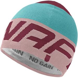 Dynafit Radical Beanie Pale Rose One Size Men,Women Dynafit Radical Beanie Pale Rose One Size Men,Women