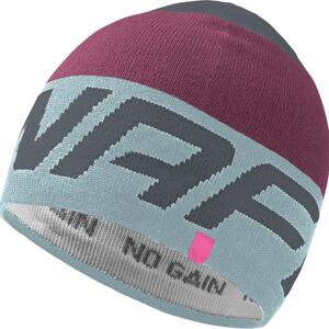 Dynafit Radical Beanie Cloud Blue One Size Men,Women Dynafit Radical Beanie Cloud Blue One Size Men,Women
