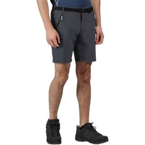 Regatta Xert Stretch Iii Shorts Seal Grey GERM46 Men Regatta Xert Stretch Iii Shorts Seal Grey GERM46 Men