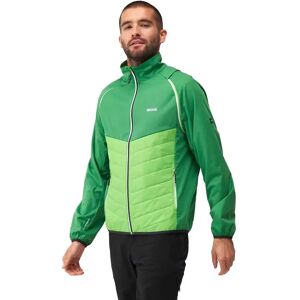 Regatta Steren Hybrid Softshell Jacket Field Green / Jasmine Green S Men Regatta Steren Hybrid Softshell Jacket Field Green / Jasmine Green S Men