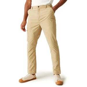 Regatta Dalry Pants Oat 40 Men Regatta Dalry Pants Oat 40 Men