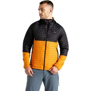 Dare2b Descending Ii Hybrid Jacket Black / Desert Sun 3XL Men Dare2b Descending Ii Hybrid Jacket Black / Desert Sun 3XL Men