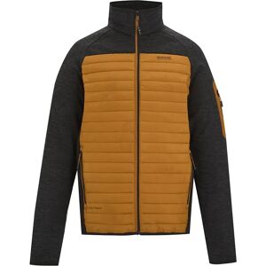 Regatta Ceden Hybrid Jacket Pumpkin Spice / Black XL Men Regatta Ceden Hybrid Jacket Pumpkin Spice / Black XL Men