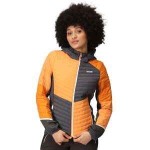 Regatta Trutton Ii Jacket Apricot Crush / Seal Grey 18 Women Regatta Trutton Ii Jacket Apricot Crush / Seal Grey 18 Women