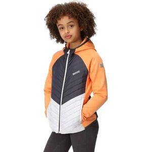 Regatta Kielder Vii Jacket Apricot Crush / Seal Grey 5-6 Years Boys,Girls Regatta Kielder Vii Jacket Apricot Crush / Seal Grey 5-6 Years Boys,Girls