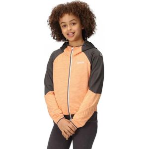 Regatta Prenton Ii Softshell Jacket Apricot Crush / Seal Grey 11-12 Years Boys Regatta Prenton Ii Softshell Jacket Apricot Crush / Seal Grey 11-12 Years Boys