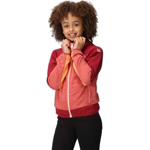 Regatta Prenton Ii Softshell Jacket Mineral Red / Rumba Red 5-6 Years Boys Regatta Prenton Ii Softshell Jacket Mineral Red / Rumba Red 5-6 Years Boys