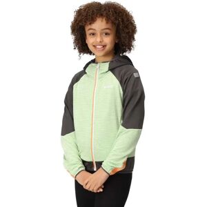 Regatta Prenton Ii Softshell Jacket Quiet Green / Seal Grey 9-10 Years Boys Regatta Prenton Ii Softshell Jacket Quiet Green / Seal Grey 9-10 Years Boys