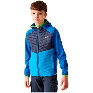 Regatta Kielder Hybrid Viii Jacket Olympian Blue / Navy 14 Years Boys,Girls Regatta Kielder Hybrid Viii Jacket Olympian Blue / Navy 14 Years Boys,Girls