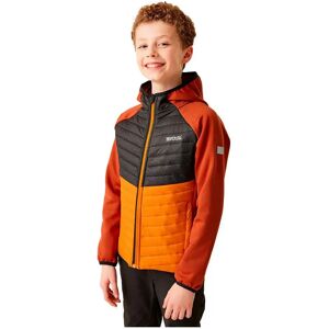 Regatta Kielder Hybrid Viii Jacket Red Ochre / Black 3-4 Years Boys,Girls Regatta Kielder Hybrid Viii Jacket Red Ochre / Black 3-4 Years Boys,Girls