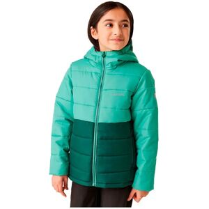 Regatta Lofthouse Viii Jacket Dusty Green / Rain Forest 7-8 Years Girls Regatta Lofthouse Viii Jacket Dusty Green / Rain Forest 7-8 Years Girls