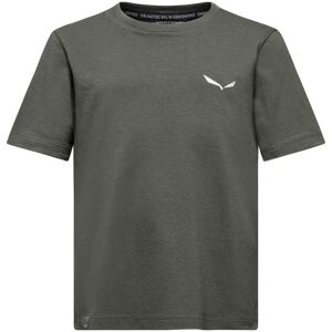 Salewa Graphic Short Sleeve T-shirt Faded Green 13-14 Years Boys Salewa Graphic Short Sleeve T-shirt Faded Green 13-14 Years Boys