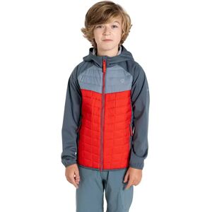 Dare2b Explore Ii Hybrid Jacket Light Grey / Storm Weather 3-4 Years Boys,Girls Dare2b Explore Ii Hybrid Jacket Light Grey / Storm Weather 3-4 Years Boys,Girls