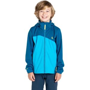 Dare2b Explore Softshell Jacket Blue Sap / Spring Breeze 3-4 Years Boys,Girls Dare2b Explore Softshell Jacket Blue Sap / Spring Breeze 3-4 Years Boys,Girls