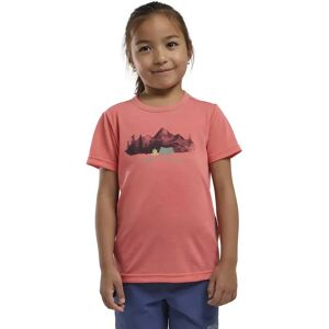 Jack Wolfskin Hiking Graphic Short Sleeve T-shirt Print Sunset Coral 116 cm Boys,Girls Jack Wolfskin Hiking Graphic Short Sleeve T-shirt Print Sunset Coral 116 cm Boys,Girls