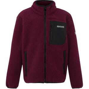 Regatta Frankie Warm Full Zip Fleece Dark Pimento 15-16 Years Boys,Girls Regatta Frankie Warm Full Zip Fleece Dark Pimento 15-16 Years Boys,Girls